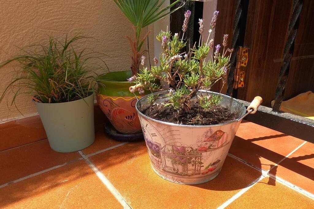 אליקאנטה Close To Beaches & Golf Courses - With Pool & Bbq מראה חיצוני תמונה