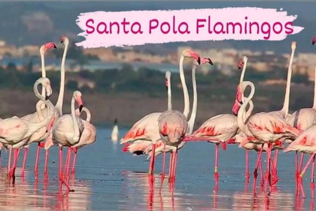 אליקאנטה Close To Beaches & Golf Courses - With Pool & Bbq מראה חיצוני תמונה